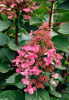 144600.jpg@webp