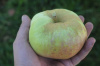 bogatyr3